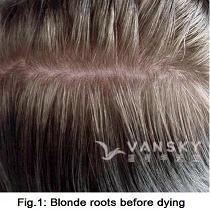 240102152640_Hair-Before Dying-s.jpg